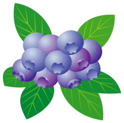 �킩������ �u���[�x���[�A�C