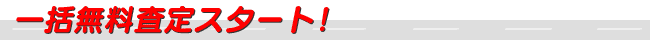 �ꊇ��������X�^�[�g